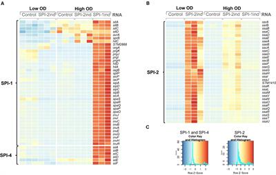 The RNA Complement of Outer Membrane Vesicles From Salmonella enterica Serovar Typhimurium Under Distinct Culture Conditions